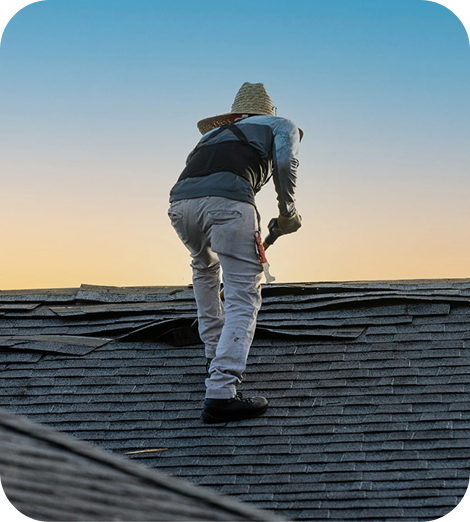 Topline Group - Roof Main Section